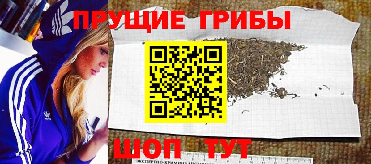 Псилоцибиновые грибы Magic Shrooms Кудымкар